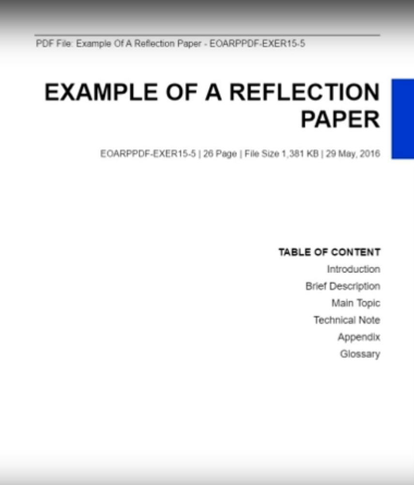 apa reflective essay